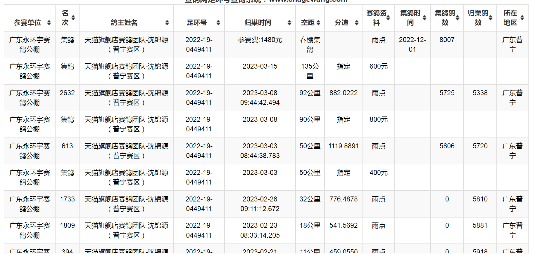 变色龙羽色 鸽主：天猫旗舰店赛鸽团队-沈锦源  指定1800元公棚鸽 - 图3