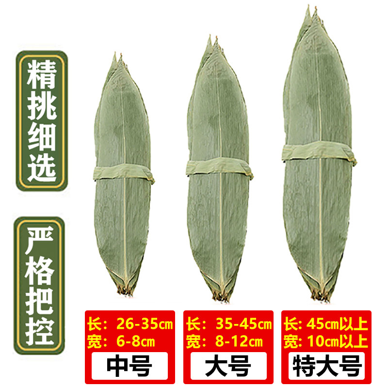 粽叶免邮新鲜大号五芳斋嘉兴粽子叶新叶大干棕叶包粽子的叶子箬叶