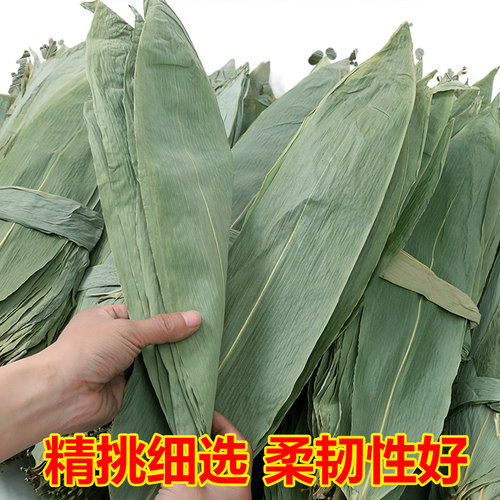 粽叶免邮新鲜大箬叶端午节特大本地棕叶包粽子的叶子粽子叶干大号 - 图0