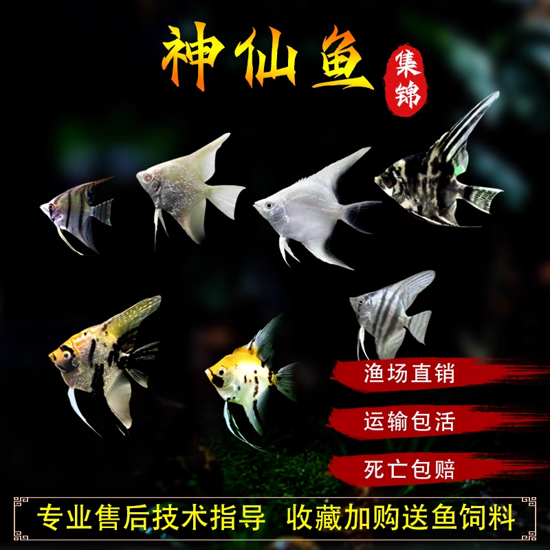 商品详情图片
