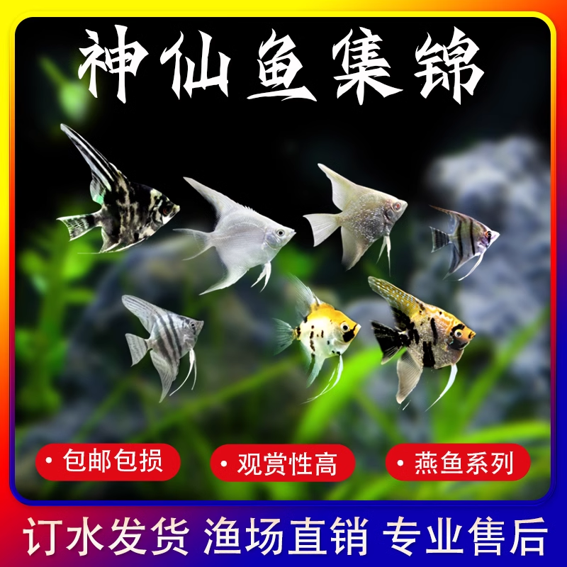 商品详情图片