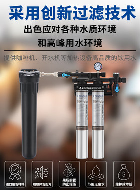 爱惠浦MH2-Plus商用双联净水器