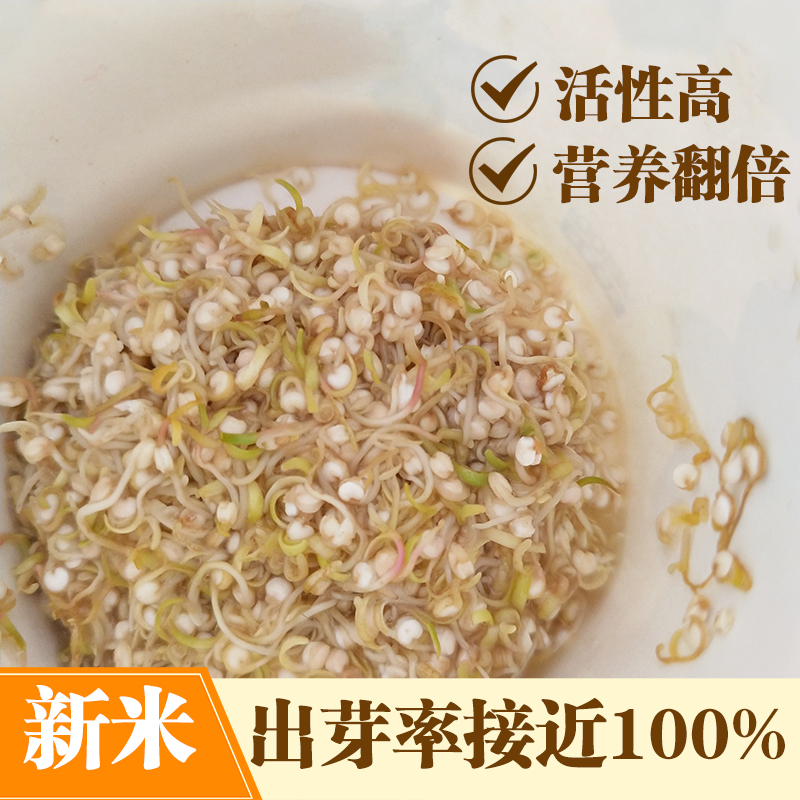 农家自产5斤500g*5精选藜麦米 非三色藜麦 黎麦米五谷粗粮 - 图0