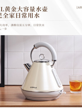 思迪乐电热烧水壶家用304不锈钢