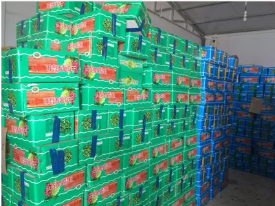 自然色休闲零食三斤包邮 绿色 免洗 新疆吐鲁番特产无核葡萄干 自然色休闲零食三斤包邮 绿色 免洗 新疆吐鲁番特产无核葡萄干