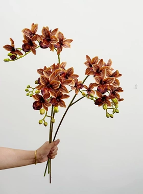 花饰界千鸟兰仿真花软胶假花石斛兰小蕙兰婚庆插花艺家居装饰