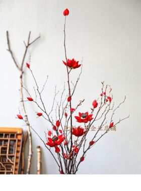 红色干花套装红豆支新年节日花艺