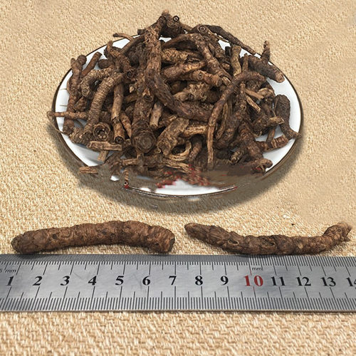 中药材胡黄连500克包邮 西藏胡黄莲 割孤露泽 新货上市正品无硫 - 图0