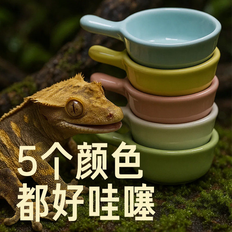 睫角果泥食盆爬宠果泥拌碗R属守宫巨人盖勾亚喂食勺爬虫凝胶盘,淘宝优惠券,粉丝福利购,淘宝优惠卷