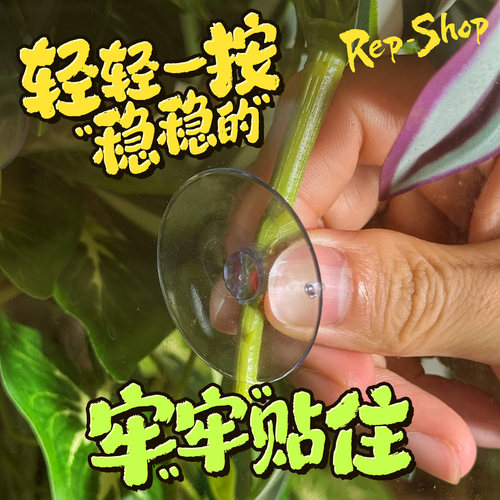 爬宠饲养箱吸盘造景植物睫角守宫蜥蜴玻璃缸仿真雨林绿植树叶装饰 - 图2