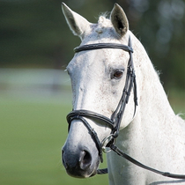 British Shires Standard Water Reins (Avignon) Bull Leather Type Water Le Reins Loch Horse x821808
