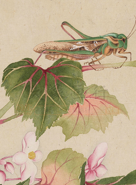 沈铨花卉翎毛草虫图册微喷打印工笔花鸟临摹范本草虫花卉图小品画