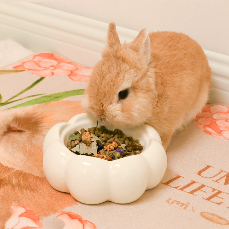UMI兔兔食盆花朵碗大容量陶瓷ins风兔子碗食盆细腻防割伤食物盆,淘宝优惠券,粉丝福利购,淘宝优惠卷
