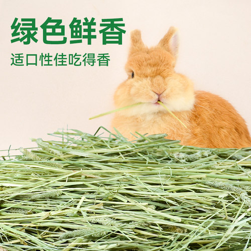 美国安德森美提真空包装提摩西草一番二番提草牧草兔子草豚鼠干草 - 图0