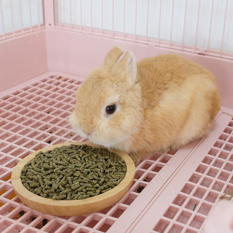 美国进口爱宝田园系列兔粮兔兔饲料成兔粮幼兔粮兔子主粮垂耳兔子,淘宝优惠券,粉丝福利购,淘宝优惠卷