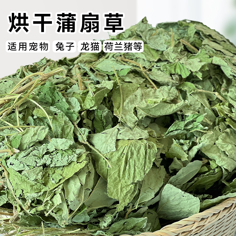 兔子草豆蔻草蒲扇草补充营养龙猫荷兰猪豚鼠土拨鼠零食兔饲料粮食 - 图1