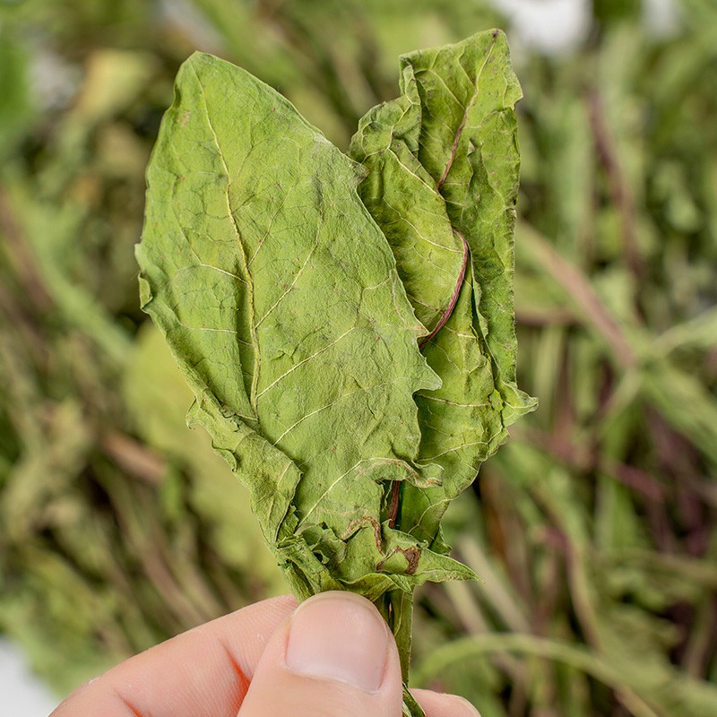 烘干整颗蒲公英抗菌消炎利尿兔子龙猫荷兰猪常备保健花草500g - 图2