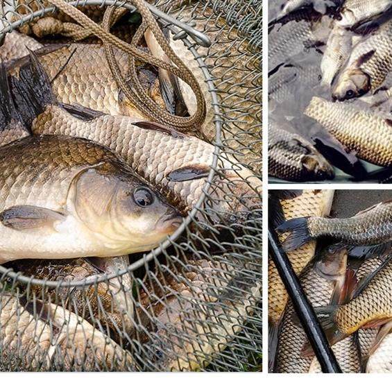 山西神聚咬青山钓鱼小药鲫鱼鲤鱼饵添加剂野钓水库诱鱼促食开口剂,淘宝优惠券,粉丝福利购,淘宝优惠卷