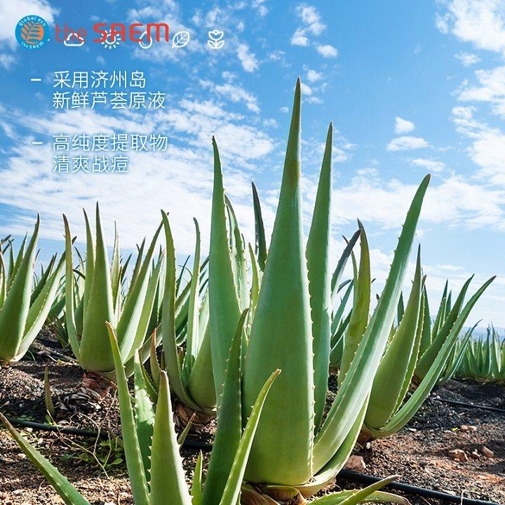 得鲜济州岛鲜鲜芦荟胶2罐清洁面霜 thesaem得鲜乳液/面霜