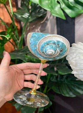 轻奢天然星河海螺贝壳高脚杯手工创意香槟红酒杯伴手礼创意摆件