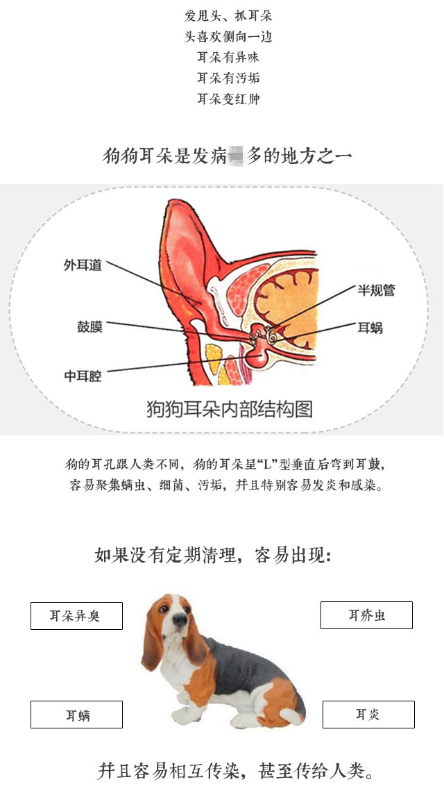 美国Icare爱肯宠物洗耳水180ml大瓶耳朵耳螨狗猫清洁洗耳液-图1