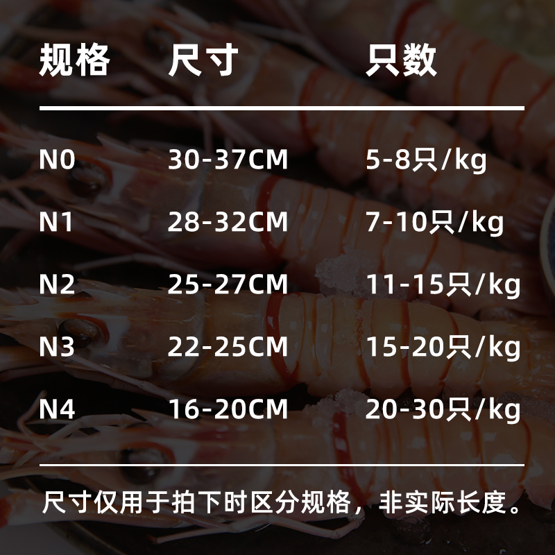 新西兰鳌虾 南极深海小龙虾scampi斯干比虾01234号大号海螯虾刺身 - 图1