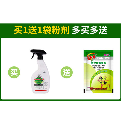 灭臭虫喷雾剂家用蚂蚁室内厨房灭蟑螂蚊蝇除螨跳蚤药下水道杀虫剂 - 图3