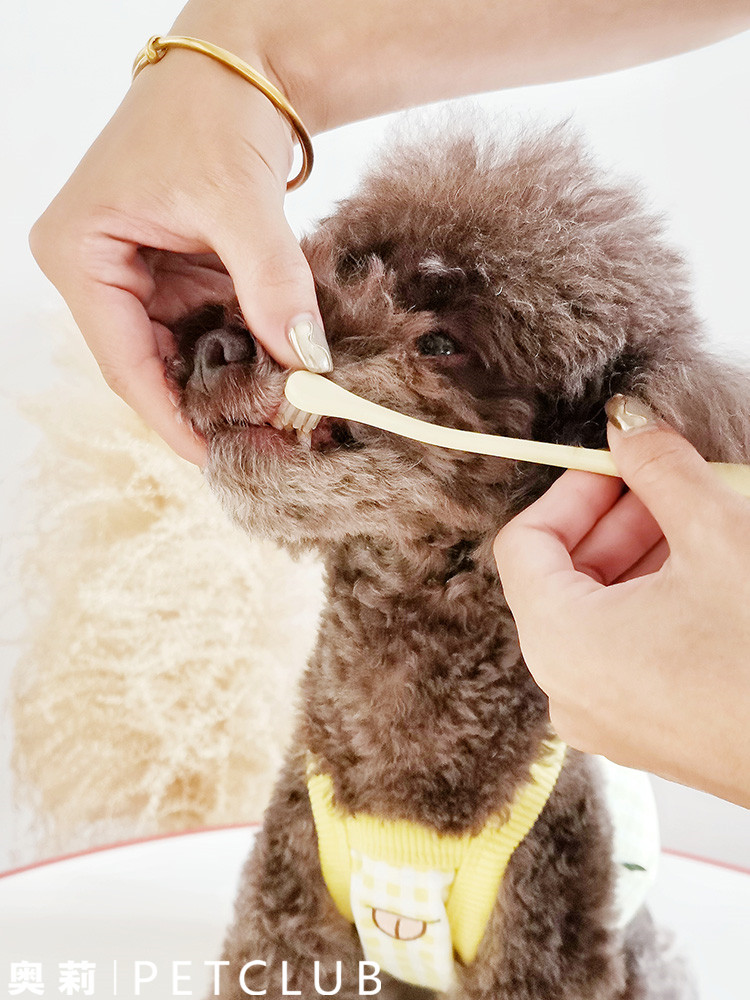 日本进口Mindup狗狗刷牙软毛牙刷中小大型犬除口臭牙结石食用牙膏 - 图2