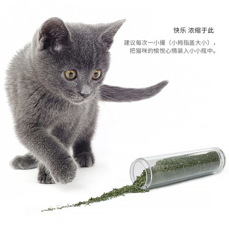 小佩猫薄荷猫草去毛球清洁口腔助消化猫咪零食猫猫零食5g - 图3