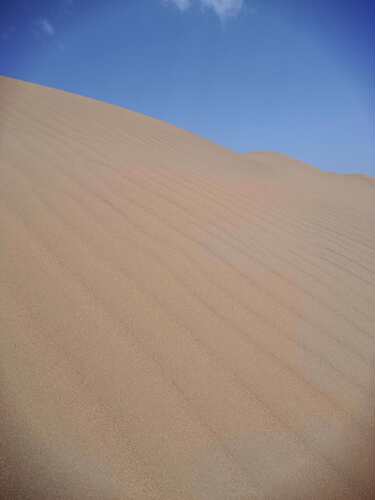 2000斤天然沙漠沙黄沙腾格里沙漠沙子宝宝玩具沙儿童沙池摄影造景 - 图2