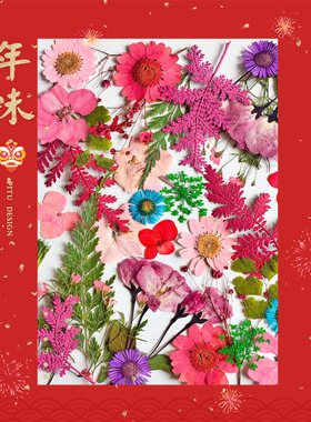 贴脸diy植物标本手工制作干花