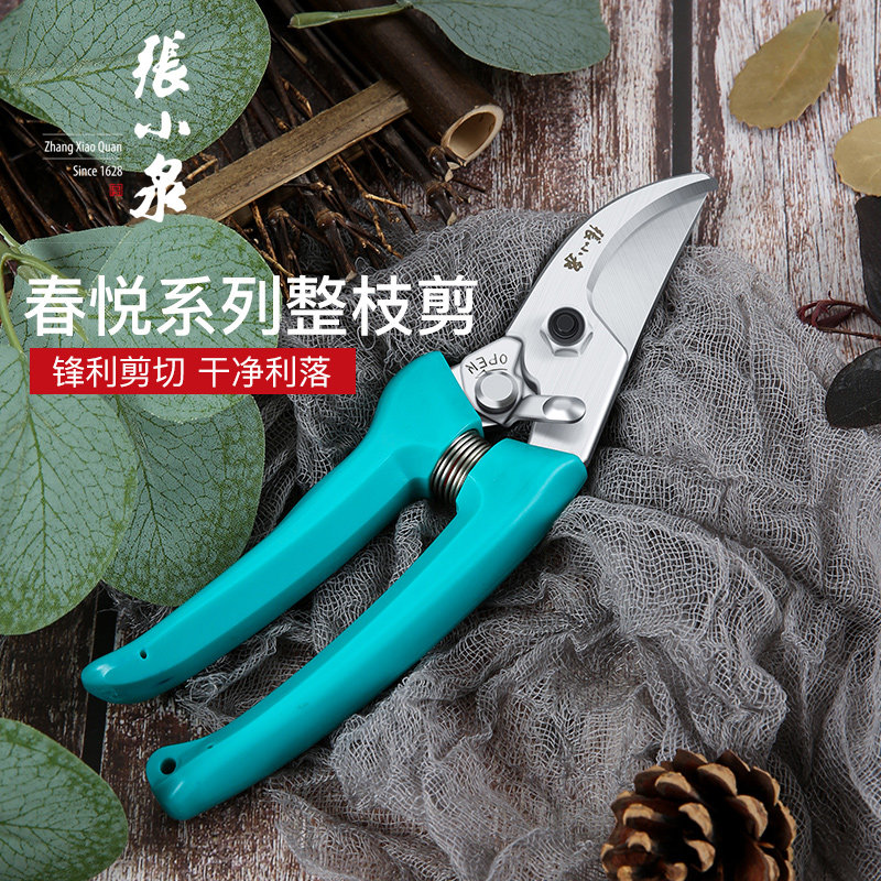 钢盆景果 新人首单立减十元 21年7月 淘宝海外