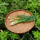 Bamboo weaving round dustpan retro decorative drying tray storage basket