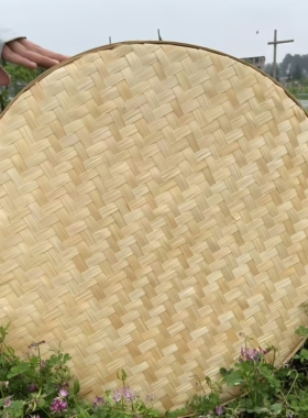 簸箕竹编家用晾晒特大号绘画装饰