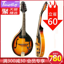 (Timothy) Luxury class electroacoustic full single mandola with sponge violin bag