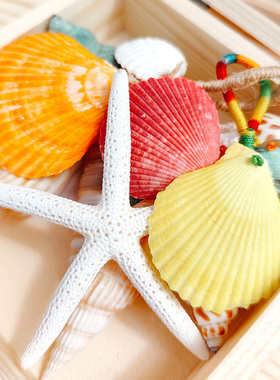 天然海螺铃贝壳手摇铃钥匙扣挂饰包包礼物背包车挂手工纪念伴手礼