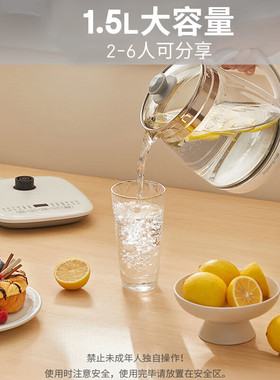 九阳多功能养生壶家用煮茶器