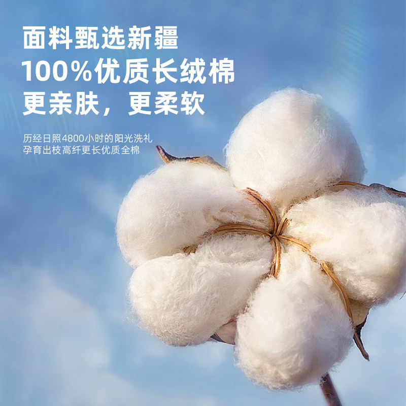 新疆长绒棉枕头一对学生宿舍纯棉枕芯酒店家用抱枕助睡眠护颈椎枕