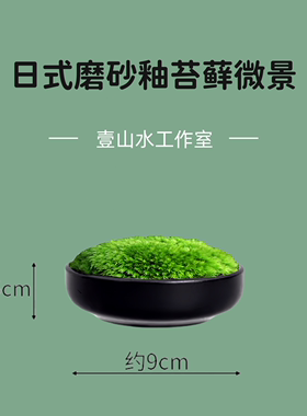 日式苔藓微景观小型桌面茶艺景观摆件鲜活苔藓创意迷你盆景新中式