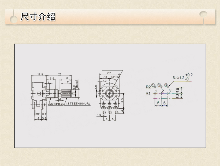 ALPHA进口B50K双联B503双声道发烧音响功放音量电位器花柄6脚20MM - 图2