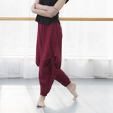 Бархатные современные классические этнические штаны, оверсайз, этнический стиль