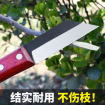 Japan Steel Graft Knife Tool Fruit Tree Coarse Tree Buds Pick Up Knife Special Gardening Grafting Theorizer Trim Cutter