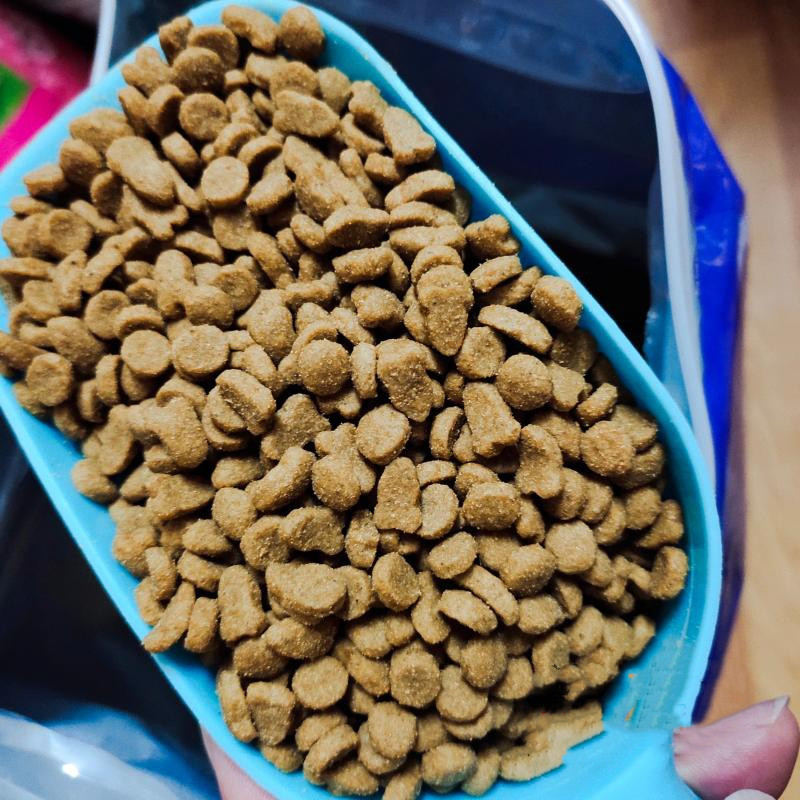 广东包邮 奥丁猫粮10kg 海洋鱼全阶段猫粮20斤猫咪粮食成幼<a href=