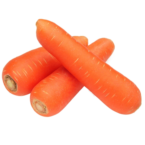 Японские семена с тремя душами с высоким уровнем -Осенью четыре сезона пурпурных и желтых семян семян семян радио