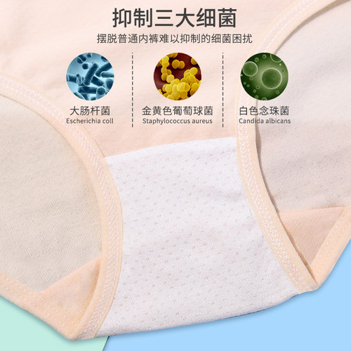 纯棉儿童内裤女童平角裤女孩三角裤中大童四角短裤不夹PP夏季薄款 - 图3