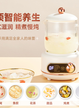 德国wiltal家用小型迷你煮茶器
