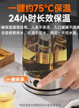 德国wiltal家用小型煮茶器保温