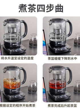德国养生壶家用小型一体式煮茶器