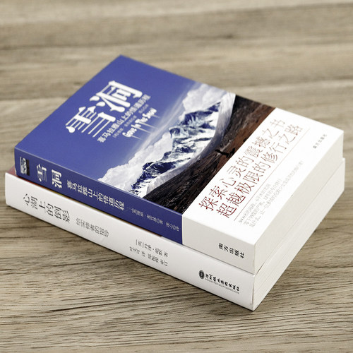 【2册】雪洞在喜马拉雅山上的悟道历程+心湖上的倒影    丹津葩默 巴默 维琪麦肯基 身心灵修行  书籍 - 图0