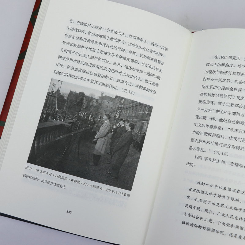 1931：债务、危机与希特勒的崛起（精装）托比亚斯·施特劳曼著希特勒上台的经济成因1924改变希特勒命运的一年书籍-图2